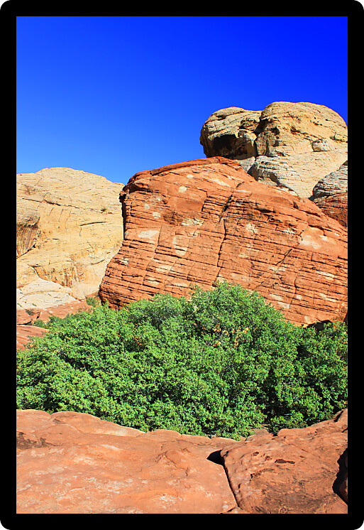Brightly colored desert landscape of Red Rock Canyon National Conservation Area in Nevada.