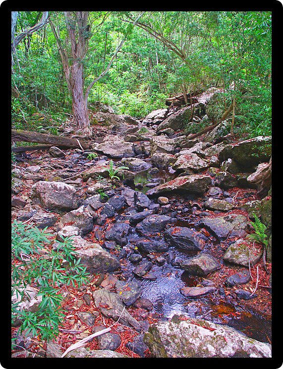 Surprise Creek in the rainforest of Barron Gorge National Park in Queensland Australia.