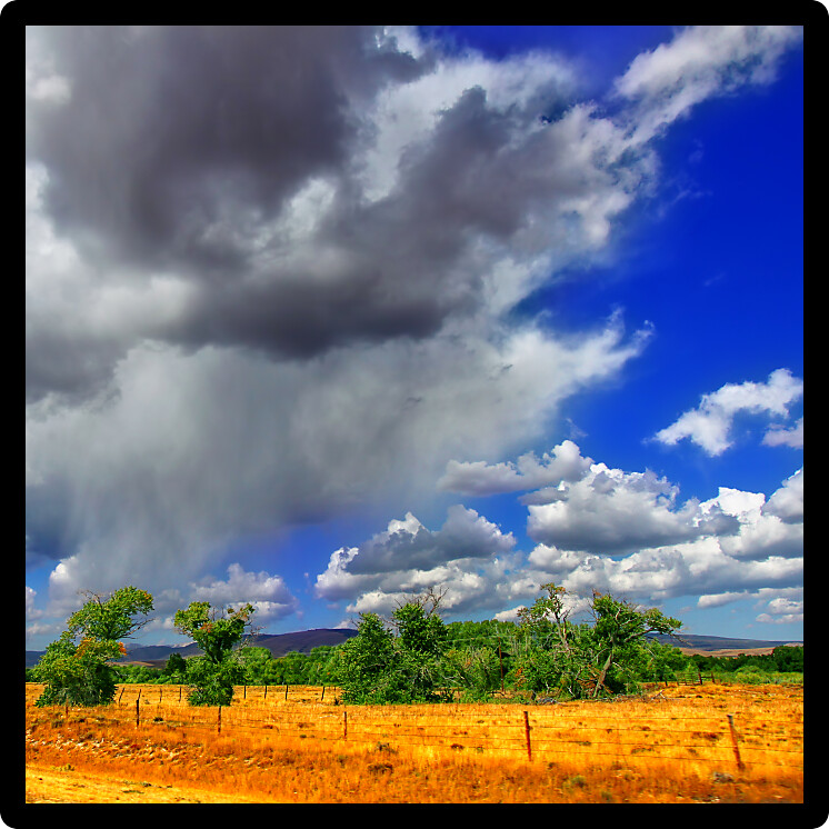 Wyoming country scenery on a beautiful summer day in Albany County.