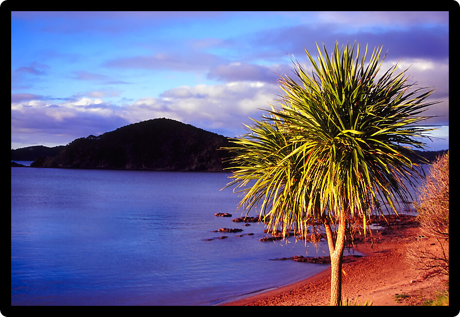 Evening light over the Bay of Islands in northern New Zealand.
