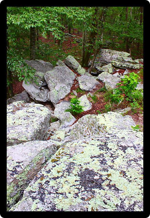 Rocks scatter the landscape at Cheaha State Park in Alabama.