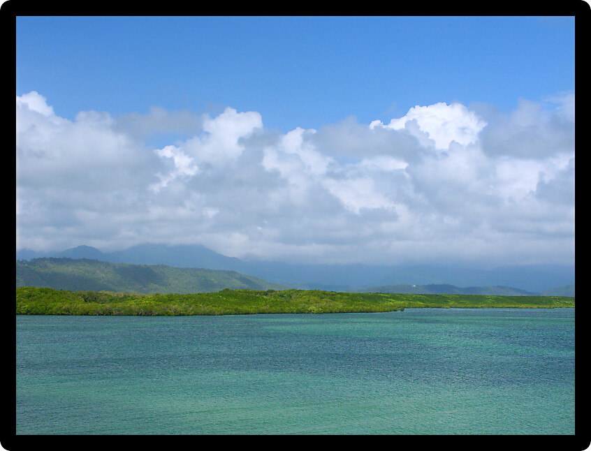 Tropical view along the coast of Port Douglas in Queensland Australia.
