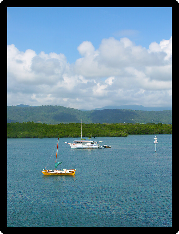 View along the coast of Port Douglas in Queensland Australia.