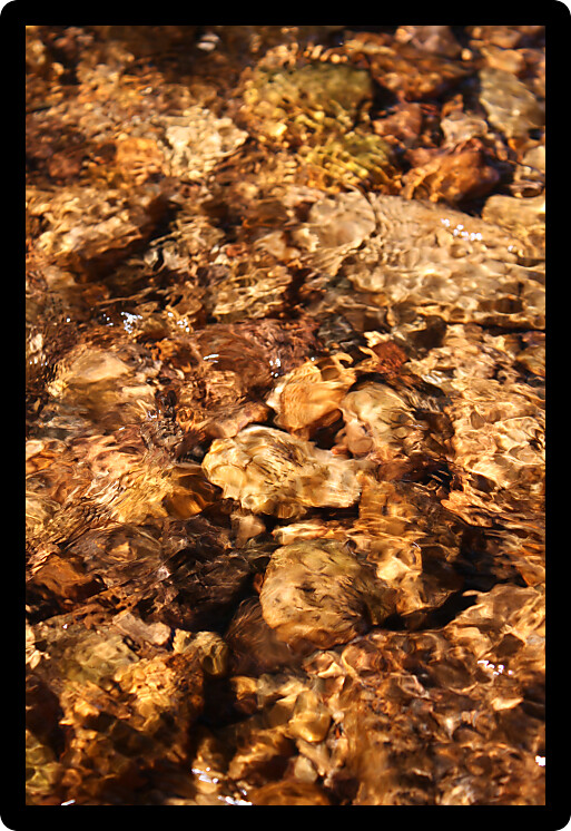 Calm and relaxing creek riffle in northern Illinois.
