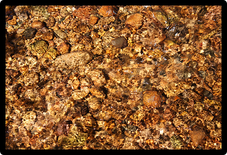 Calm creek riffle flows through the environment of northern Illinois.
