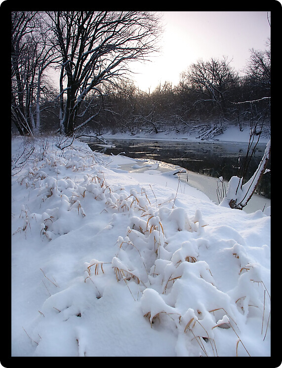 The sun rises over fresh snowfall at Blackhawk Springs Forest Preserve in northern Illinois.