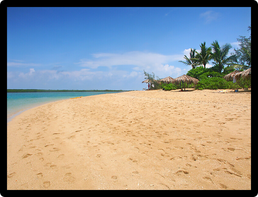 Tropical beach on the Low Isles in beautiful Queensland Australia.