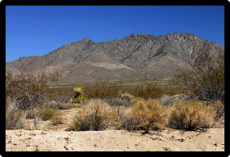 The arid expanse of the Mojave National Preserve in California.
