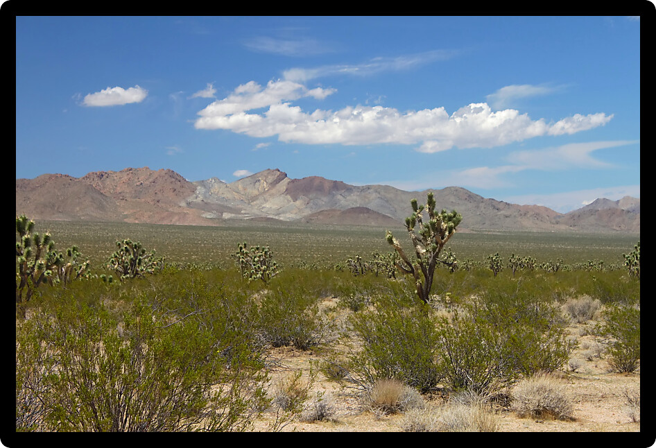 Rugged dry landscape of the Mojave National Preserve in California.