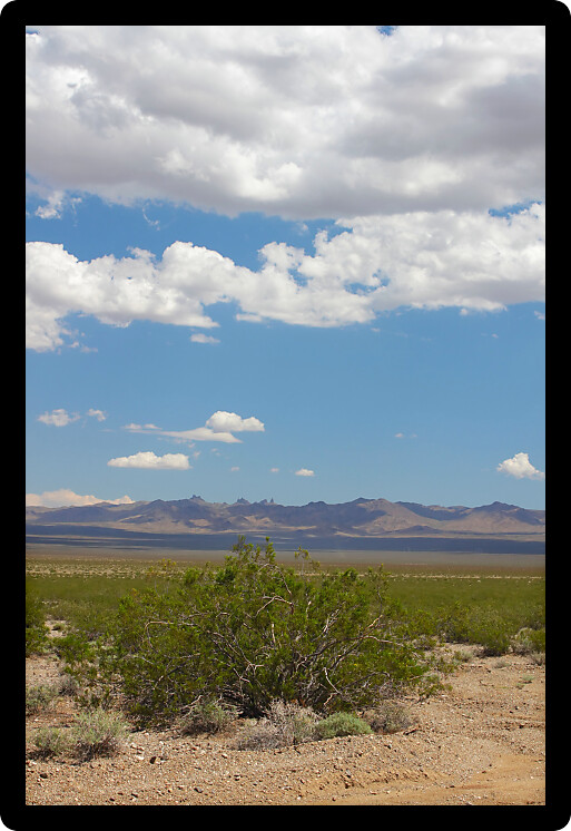 The dry landscape of the Mojave National Preserve in California.