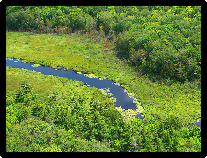 Big Carp River at Porcupine Mountains State Park in Michigans upper peninsula.