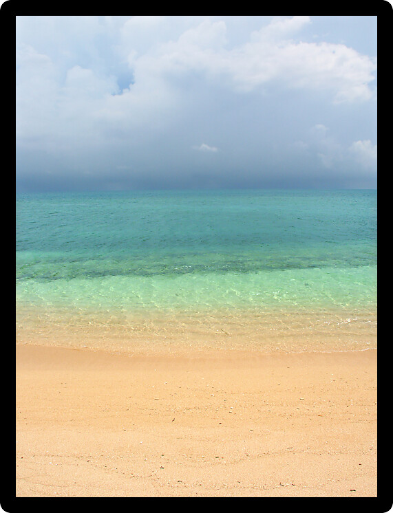 Tropical beach on the Low Isles in beautiful Queensland Australia.