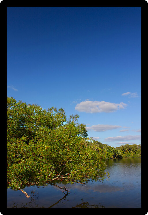 Natural view of Pierce Lake at Rock Cut State Park in northern Illinois.