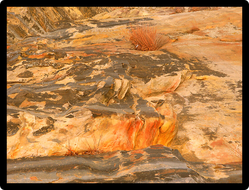Closeup of rock wall at Buffalo Rock State Park in Illinois.