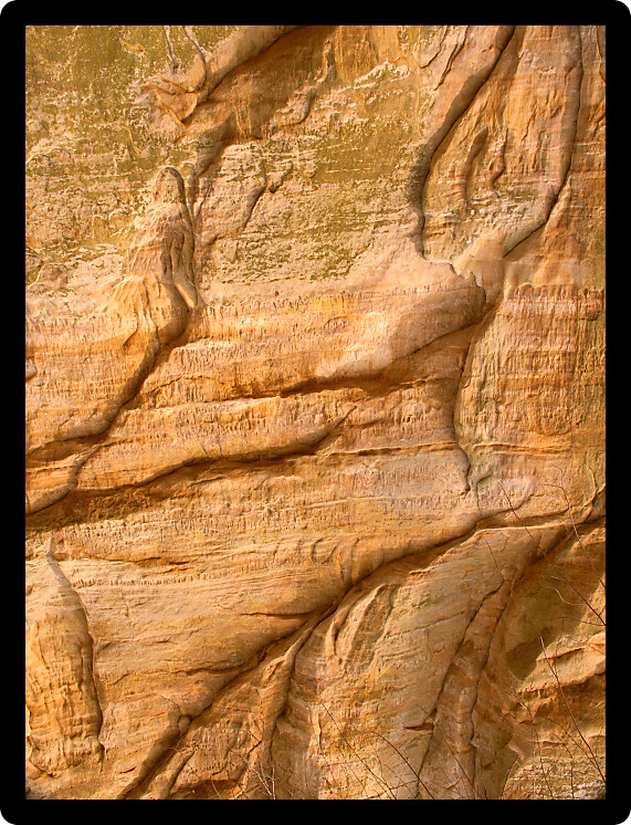 Closeup of rock wall at Buffalo Rock State Park in Illinois.