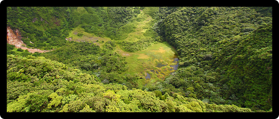 The Crater below cloud covered Mount Liamuiga on Saint Kitts.