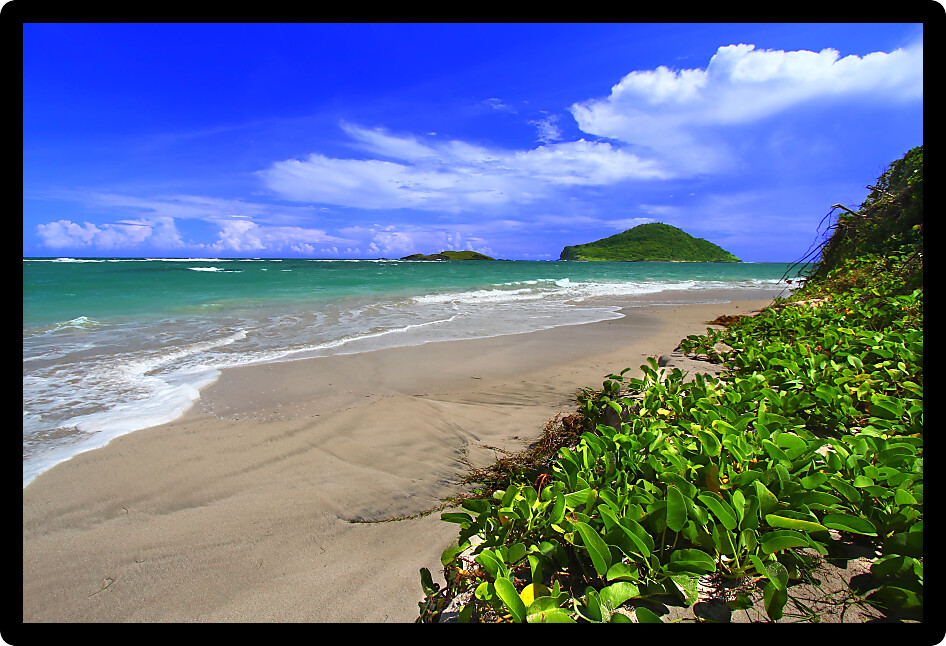 Tropical beach on the Caribbean island of Saint Lucia.