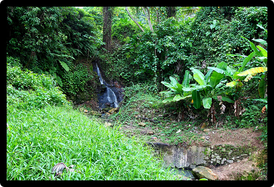 Tranquil waterfall at Sulphur Springs near Soufriere Saint Lucia.