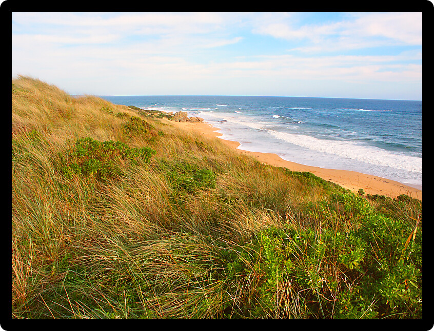 Pretty beach scene along the coastline of southern Australia near Warrnambool in Victoria Australia.