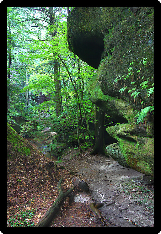 Beautiful secluded canyon northern Alabama.