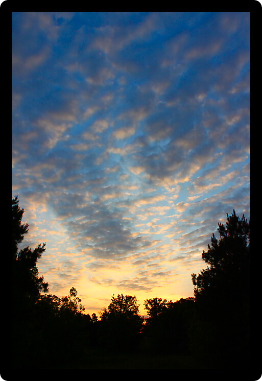 Sun sets over the pine forests of northern Alabama.