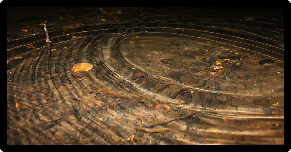 Small drops waken the surface of a small pool in Cave Spring along the Natchez Trace Parkway of northern Alabama.