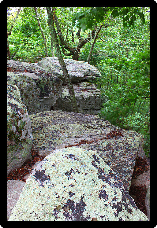 Giant rocks in the forest at Cheaha State Park in Alabama.