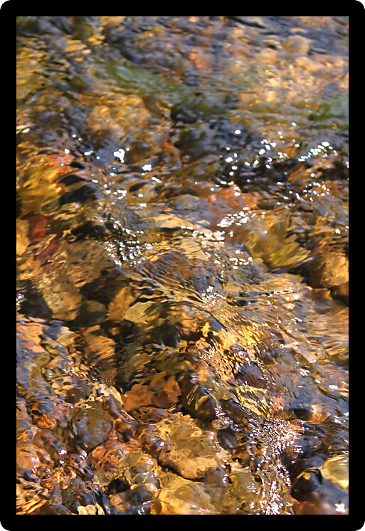 Calm creek riffle in northern Illinois.