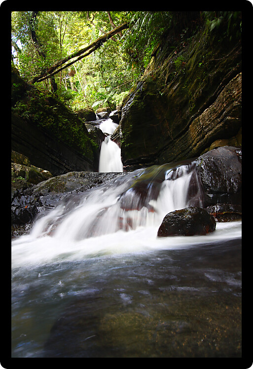 Tranquil rainforest cascade above La Mina Falls in Puerto Rico.