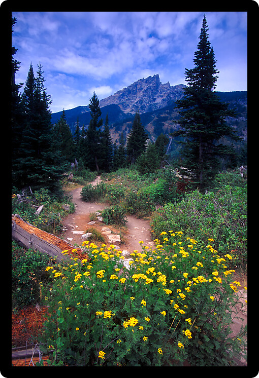 Trail winds through the valley at Grand Teton National Park in Wyoming.