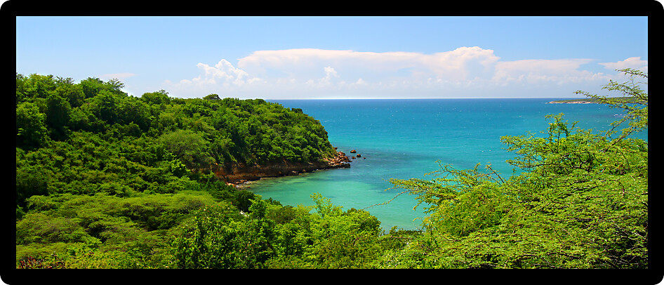 Caribbean coastline at Guanica Dry Forest Reserve in Puerto Rico.