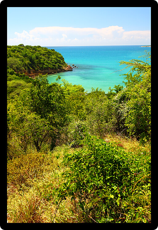 Caribbean coastline at Guanica Dry Forest Reserve in Puerto Rico.