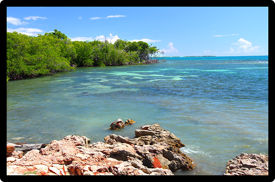 Caribbean coastline at Guanica Dry Forest Reserve in Puerto Rico.