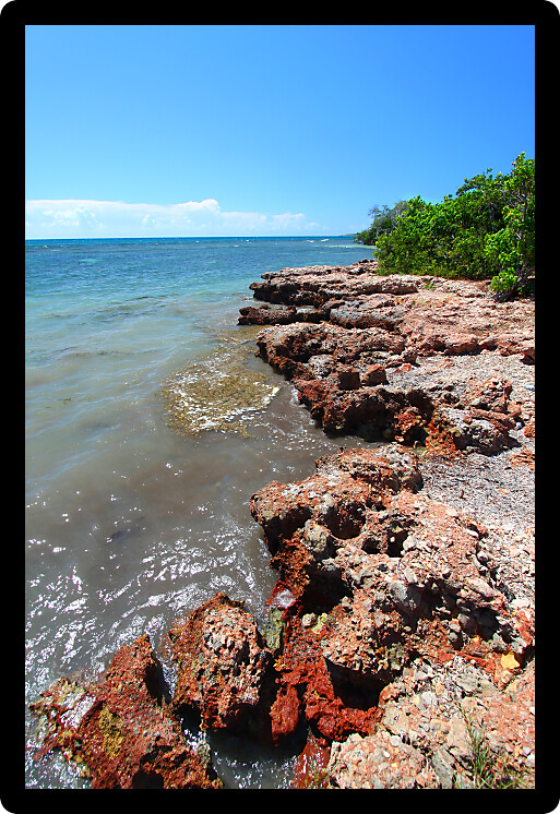 Rocky Caribbean coastline at Guanica Dry Forest Reserve in Puerto Rico.
