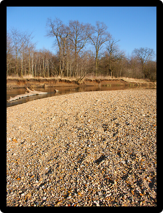 Kishwaukee River winds through northern Illinois on a sunny autumn day.