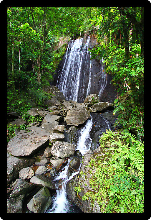 La Coca Falls in the famous El Yunque Rainforest of Puerto Rico.