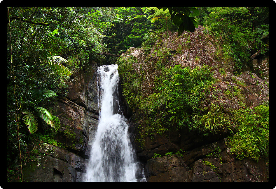 Beautiful La Mina Falls of the El Yunque National Forest in Puerto Rico.