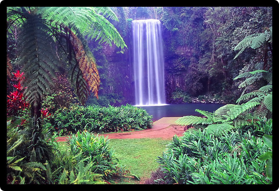 Famous Millaa Millaa Falls of Wooroonooran National Park in tropical Queensland Australia.