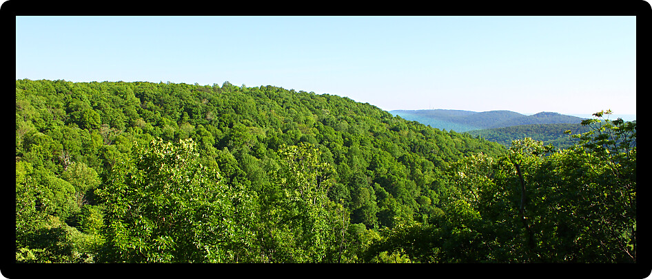 Vast forested lands of Monte Sano State Park in Alabama.