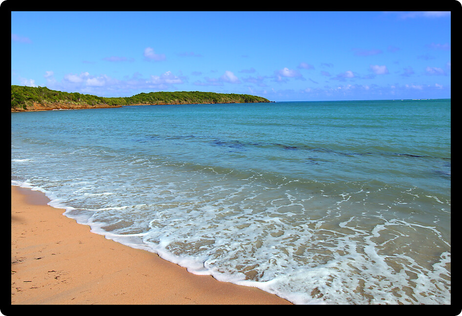 Wonderful Seven Seas Beach near Fajardo in Puerto Rico.