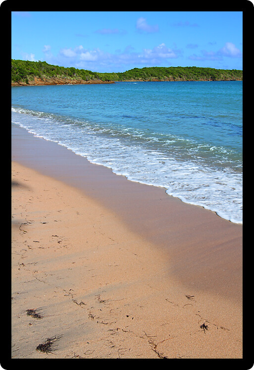 Light waves wash in at the beautiful Seven Seas Beach near Fajardo in Puerto Rico.