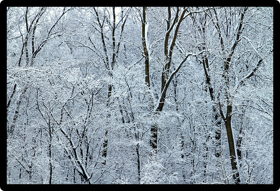 Winter wonderland at Rock Cut State Park in Illinois.