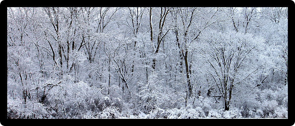 Winter wonderland at Rock Cut State Park in Illinois.
