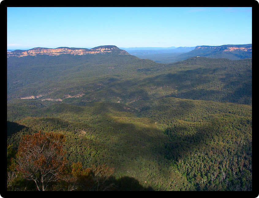 Morning sunlight illuminates the vast forest at Blue Mountains National Park of New South Wales Australia.