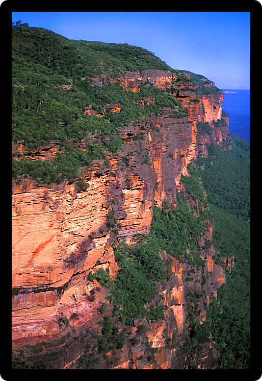 Morning sunlight illuminates a sheer cliff at Blue Mountains National Park of New South Wales Australia.