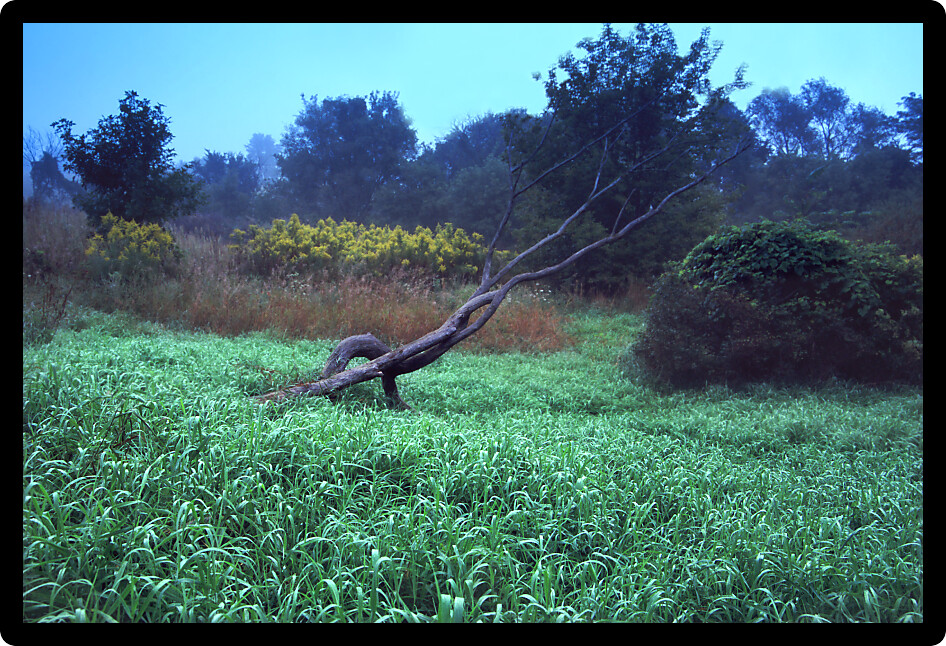 Fog lifts on a beautiful spring morning in northern Illinois.