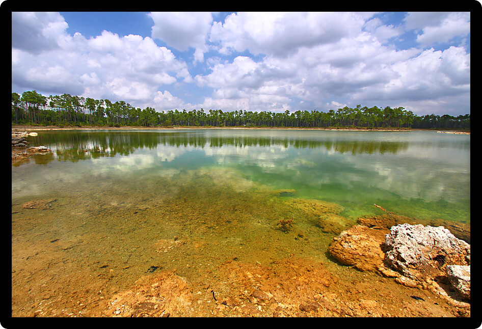 Scenic view of a lake in the Everglades National Park USA.