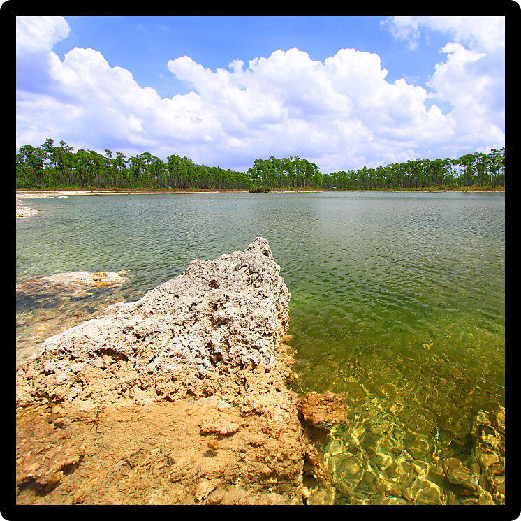 Scenic view of a lake in the Everglades National Park USA.