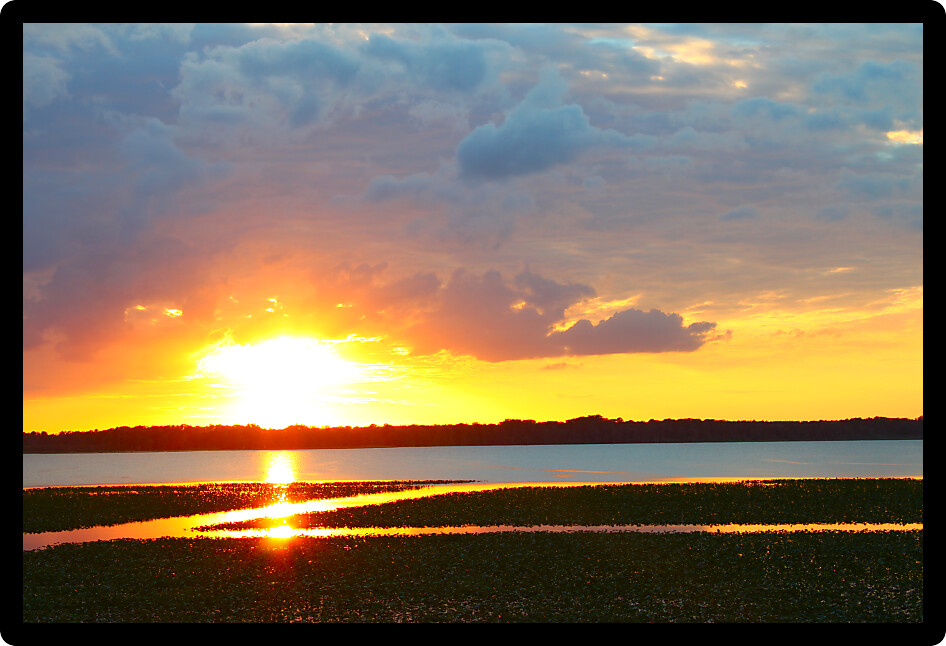 Sunset over Lake Arbuckle of the Lake Wales Ridge State Forest in central Florida.