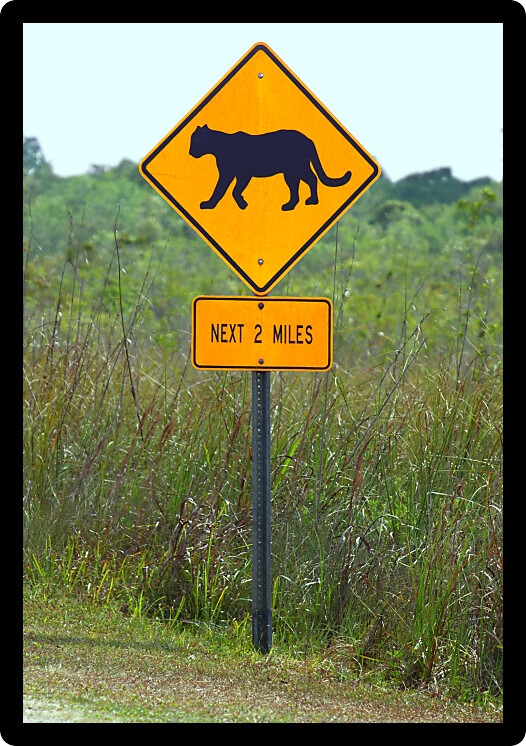 Lookout for Florida Panthers Sign in Everglades National Park.
